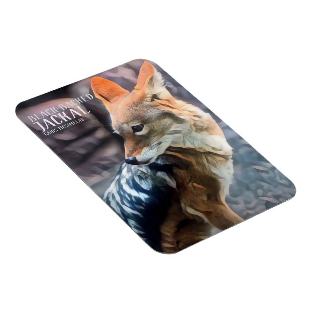 Black-backed jackal [Photo Magnet] Magnet (Right Side)