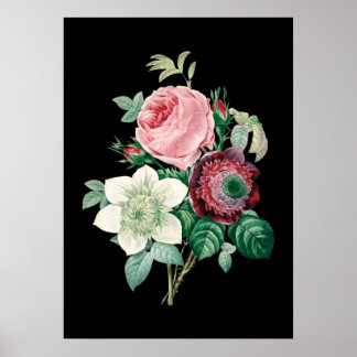 Black background roses bouquet of Redoute print