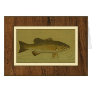 Black Bass on a Green Background