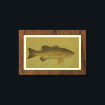 Black Bass on a Green Background Canvas Print<br><div class="desc">This piece of arwork will please any fish amateur. The painting represents a black bass swimming into green water. In this image,  the brown borders makes it the perfect decorative art piece.</div>