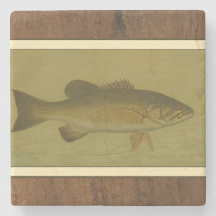 Black Bass on a Green Background Stone Coaster