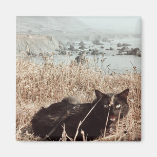 Black Beach Cat Magnet