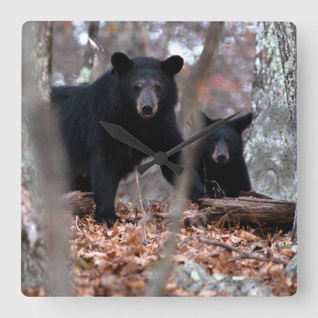 Black Bear and Cub Clock (Front)