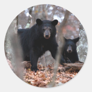 Black Bear and Cub Sticker