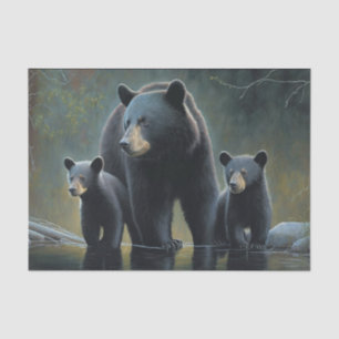 Black Bear and Cubs  Tissue Paper