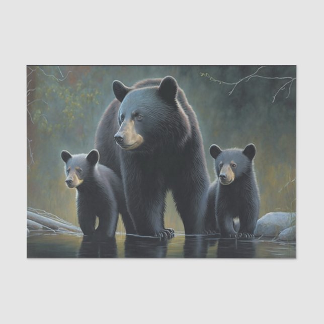 Black Bear and Cubs  Tissue Paper (Front)
