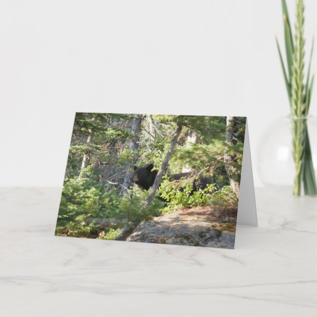 Black Bear at Grand Teton Card (Front)