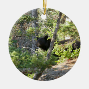 Black Bear at Grand Teton Ceramic Tree Decoration