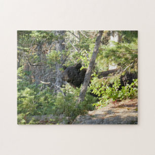 Black Bear at Grand Teton Jigsaw Puzzle