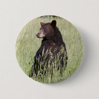 Black Bear Button