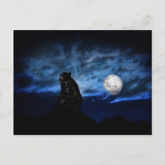 Black bear by moonlight postcard (Front)