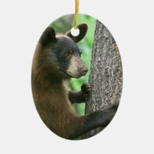 Black Bear Christmas Ornament