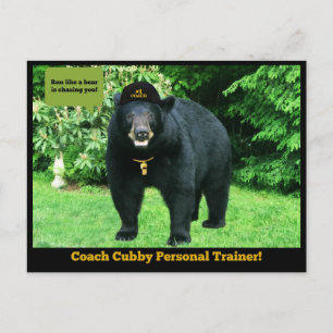 Black Bear - "Coach Cubby Personal Trainer!" Postcard