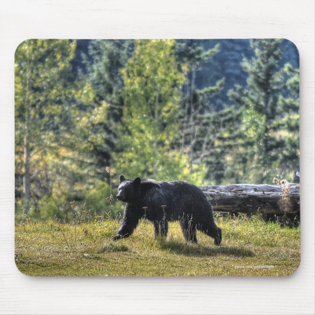 Black Bear Crossing A Ranch Paddock Mouse Mat (Front)