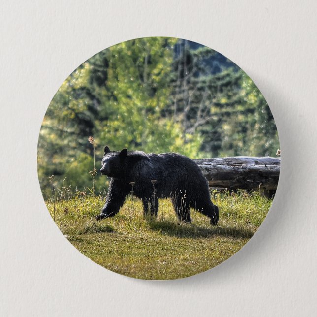 Black Bear Crossing A Ranch Pasture 7.5 Cm Round Badge (Front)