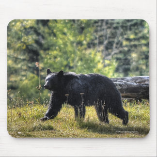 Black Bear Crossing A Ranch Pasture II Mouse Mat