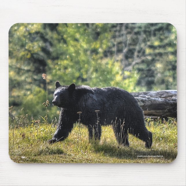 Black Bear Crossing A Ranch Pasture II Mouse Mat (Front)