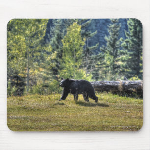 Black Bear Crossing A Ranch Pasture Mouse Mat