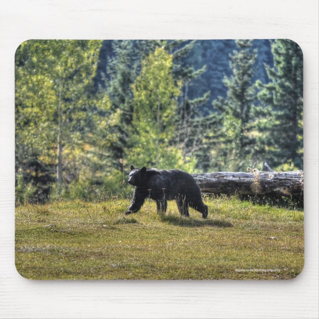 Black Bear Crossing A Ranch Pasture Mouse Mat (Front)