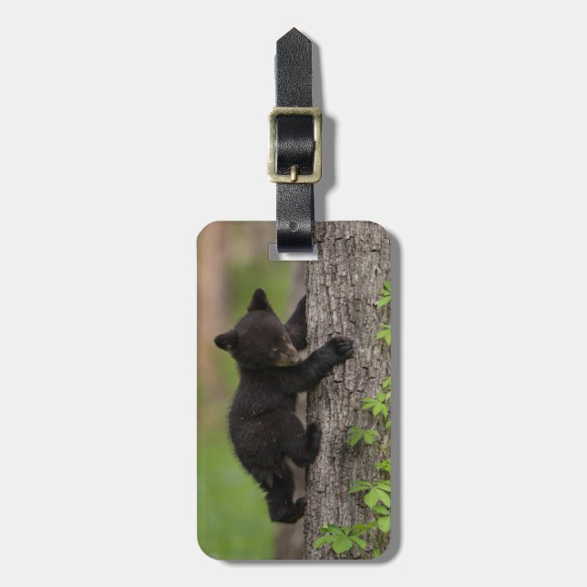 Black Bear Cub Climbing Tree Luggage Tag (Front Vertical)