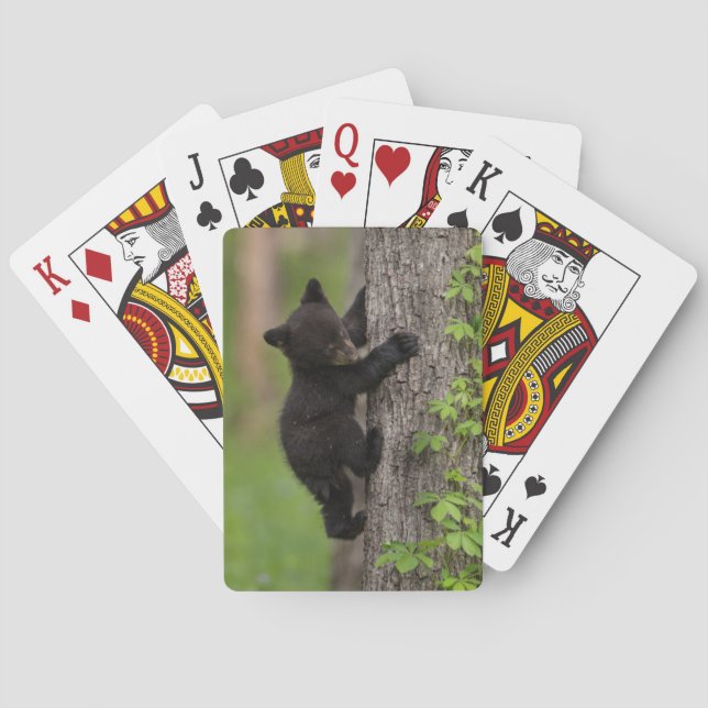 Black Bear Cub Climbing Tree Playing Cards (Back)