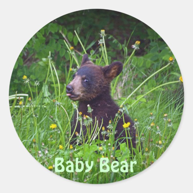 Black Bear Cub eating Dandelions Photo Classic Round Sticker (Front)