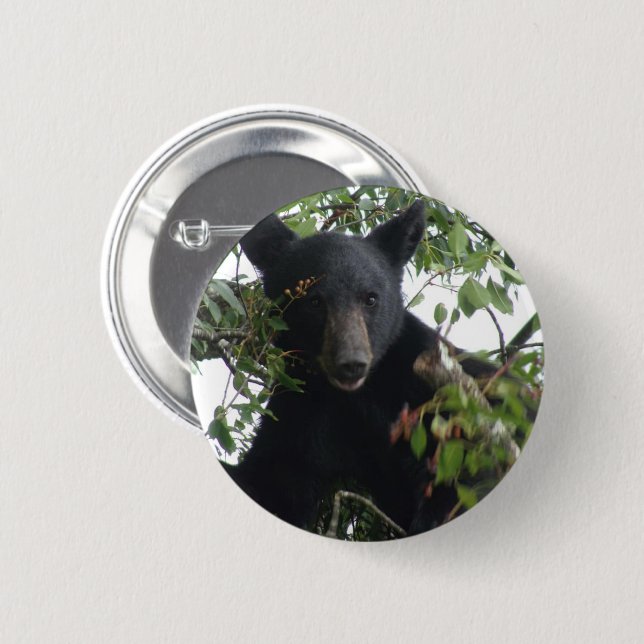 Black Bear Cub in a Tree 6 Cm Round Badge (Front & Back)