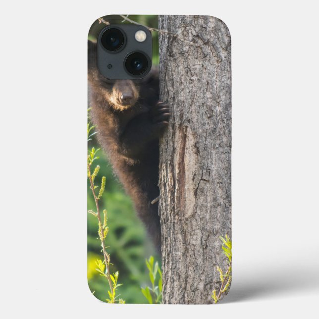 Black Bear Cub in Springtime Case-Mate iPhone Case (Back)