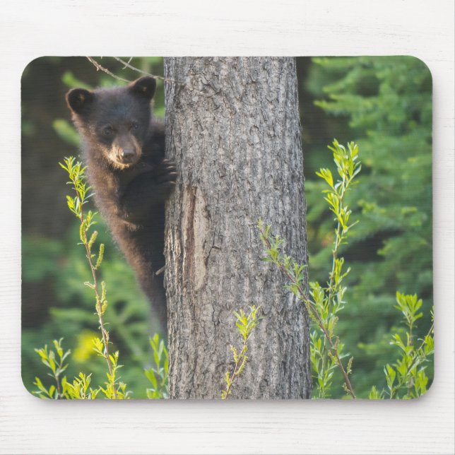 Black Bear Cub in Springtime Mouse Mat (Front)