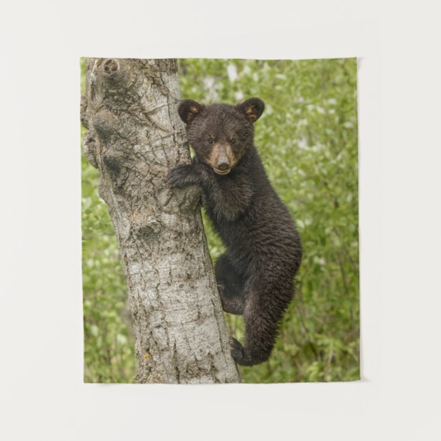 Black Bear cub In Tree Tapestry (Front)
