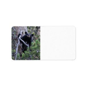 black bear cub label