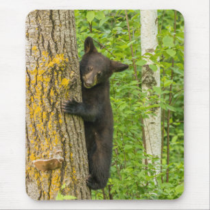 Black Bear Cub   Minnesota Mouse Mat