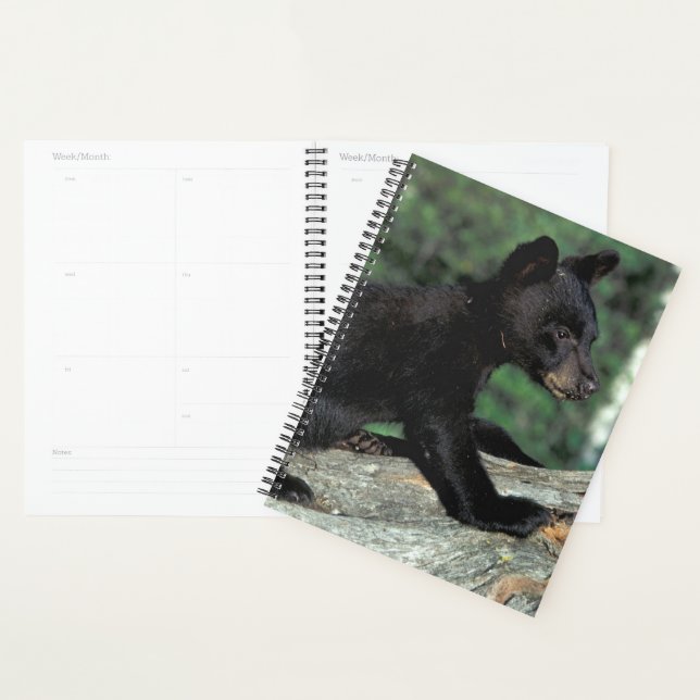 Black Bear Cub Planner (Display)