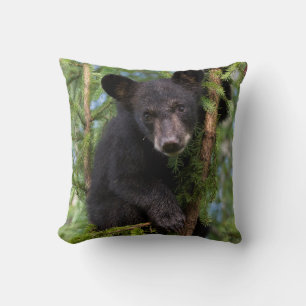 Black Bear Cub Playing in Trees Cushion