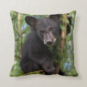 Black Bear Cub Playing in Trees Cushion