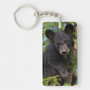 Black Bear Cub Playing in Trees Key Ring