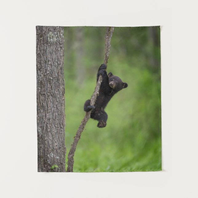 Black Bear Cub playing on Tree Limb Tapestry (Front)