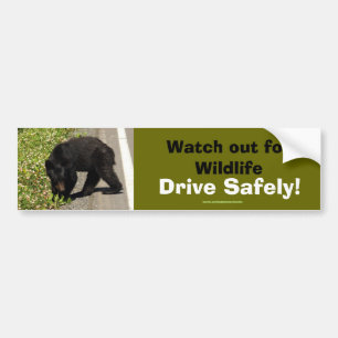 Black Bear Cub Wildlife Supporter Bumper Sticker