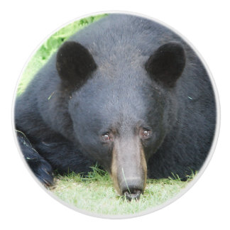 Black Bear - "Cubby" Ceramic Knob
