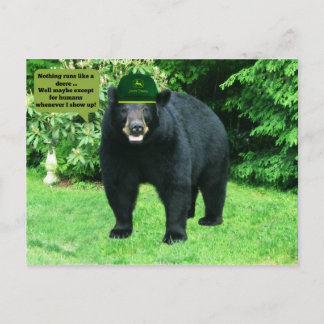 Black Bear - "Cubby - Nothing runs like a Deere!" Postcard