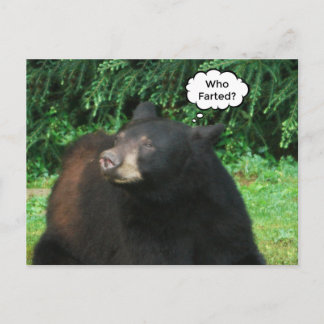 Black Bear - "Cubby Who Farted?" Postcard