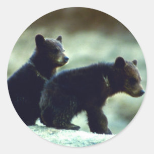 Black Bear cubs Classic Round Sticker