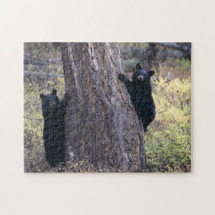 black bear cubs jigsaw puzzle