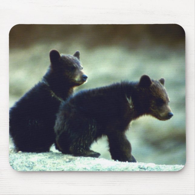Black Bear cubs Mouse Mat (Front)