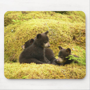 Black Bear Cubs Mouse Pad