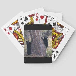 black bear cubs playing cards