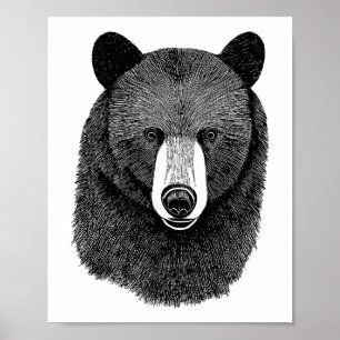 Black Bear Face original Animal art drawing Poster