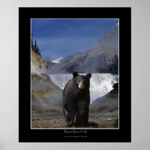 BLACK BEAR FALLS Photo Poster