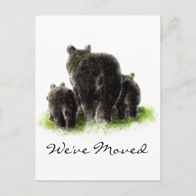 Black Bear Family Animal Nature Address New Home Announcement Postcard (Front)