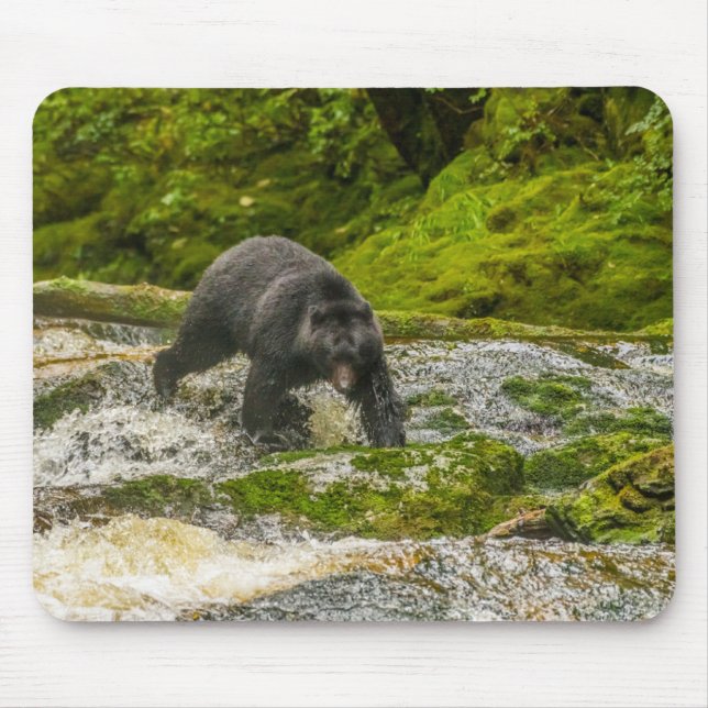 Black Bear Fishing | Qua Creek British Columbia Mouse Mat (Front)